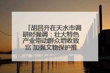 胡昌升在天水市调研时强调：壮大特色产业带动群众增收致富 加强文物保护推动文化创新发展